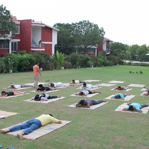 Yog Diwas image 17