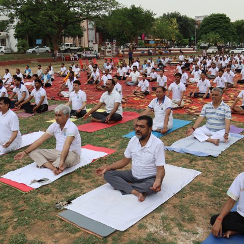 INTERNATIONAL YOGA DAY 2026 image 6