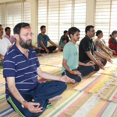 Yog Diwas image 2