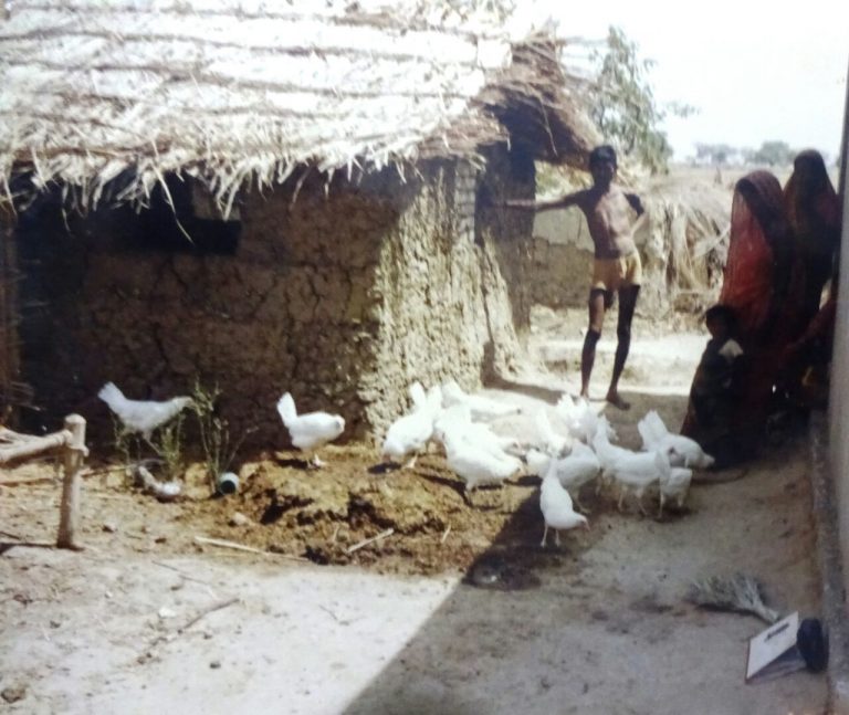Some Success Stories of the Campaign