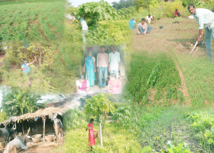 Innovative Experiments & Success Stories of the Self Reliance Campaign