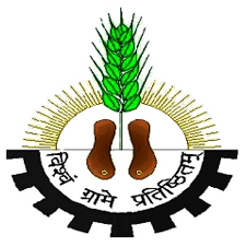 Mahatma-Gandhi-Chitrakoot-Gramoday-University