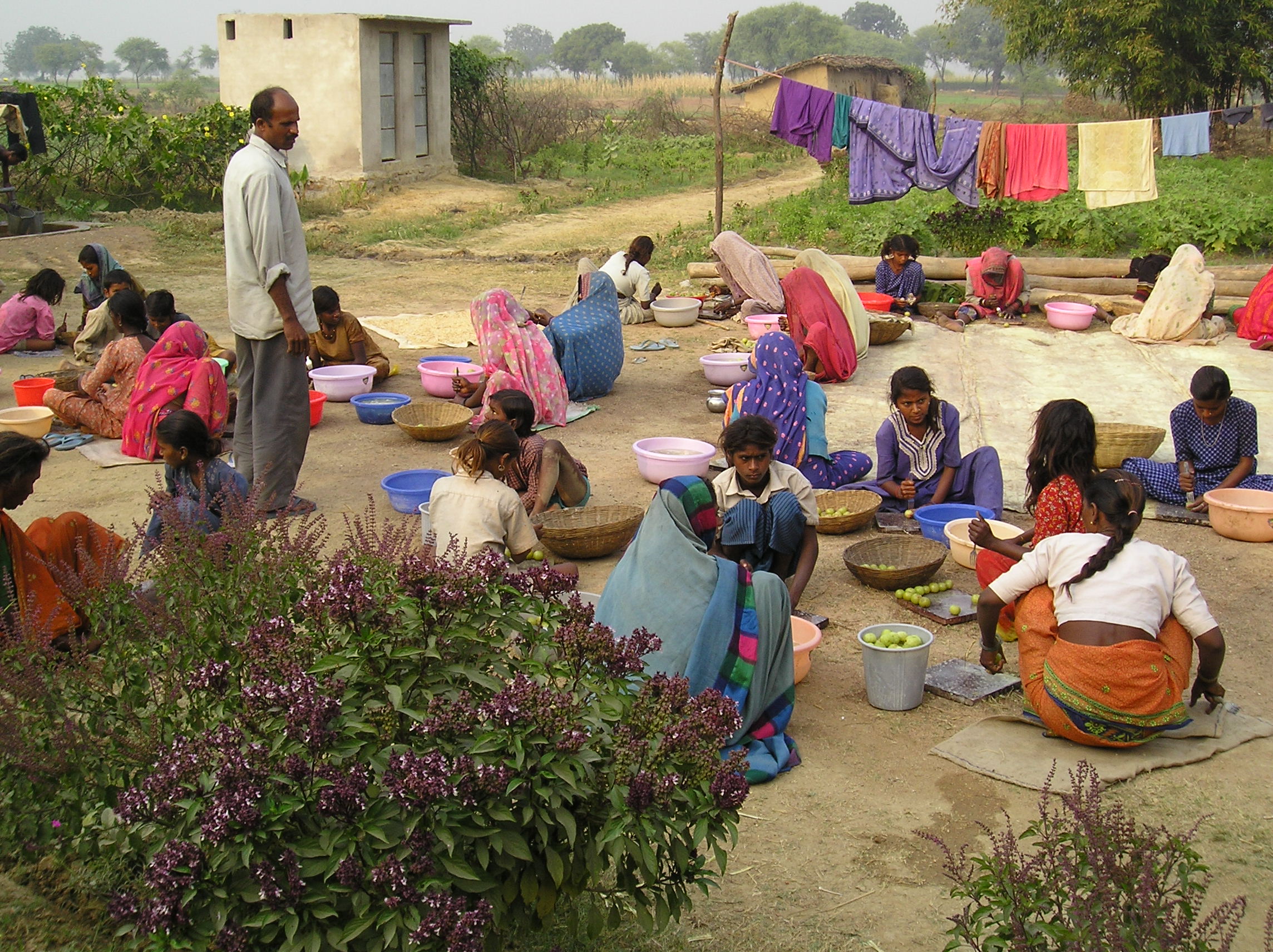 Deendayal Research Institute