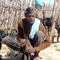 Income Goats Deendayal Research Institute