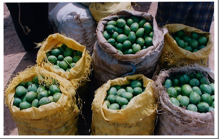 Deendayal Research Institute